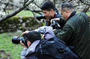 剑伤拍摄花絮,揭秘剑伤拍摄花絮
