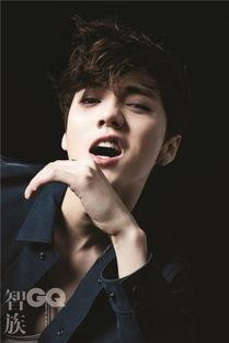 鹿哥资料,揭秘古代狩猎英雄的传奇故事