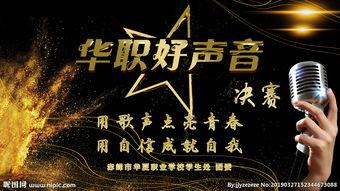 中国好声音巍然背景,中国好声音舞台上的音乐追梦人