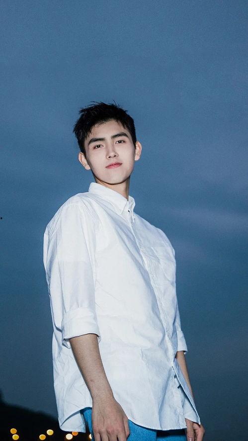 陈飞宇 照片,青春洋溢，魅力四射