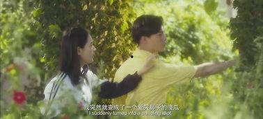 夏洛的烦恼背景音乐